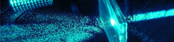 Novedad